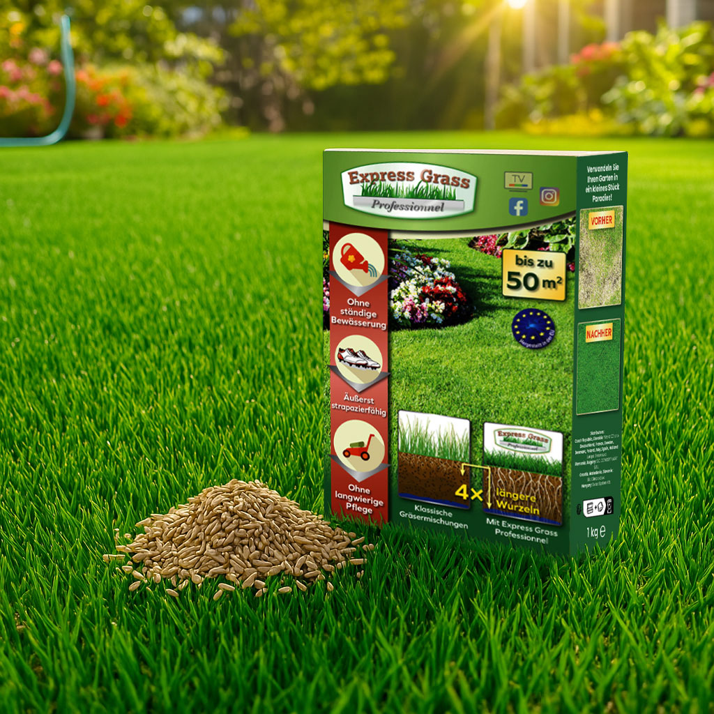 4 + 2 Express Grass Professionnel